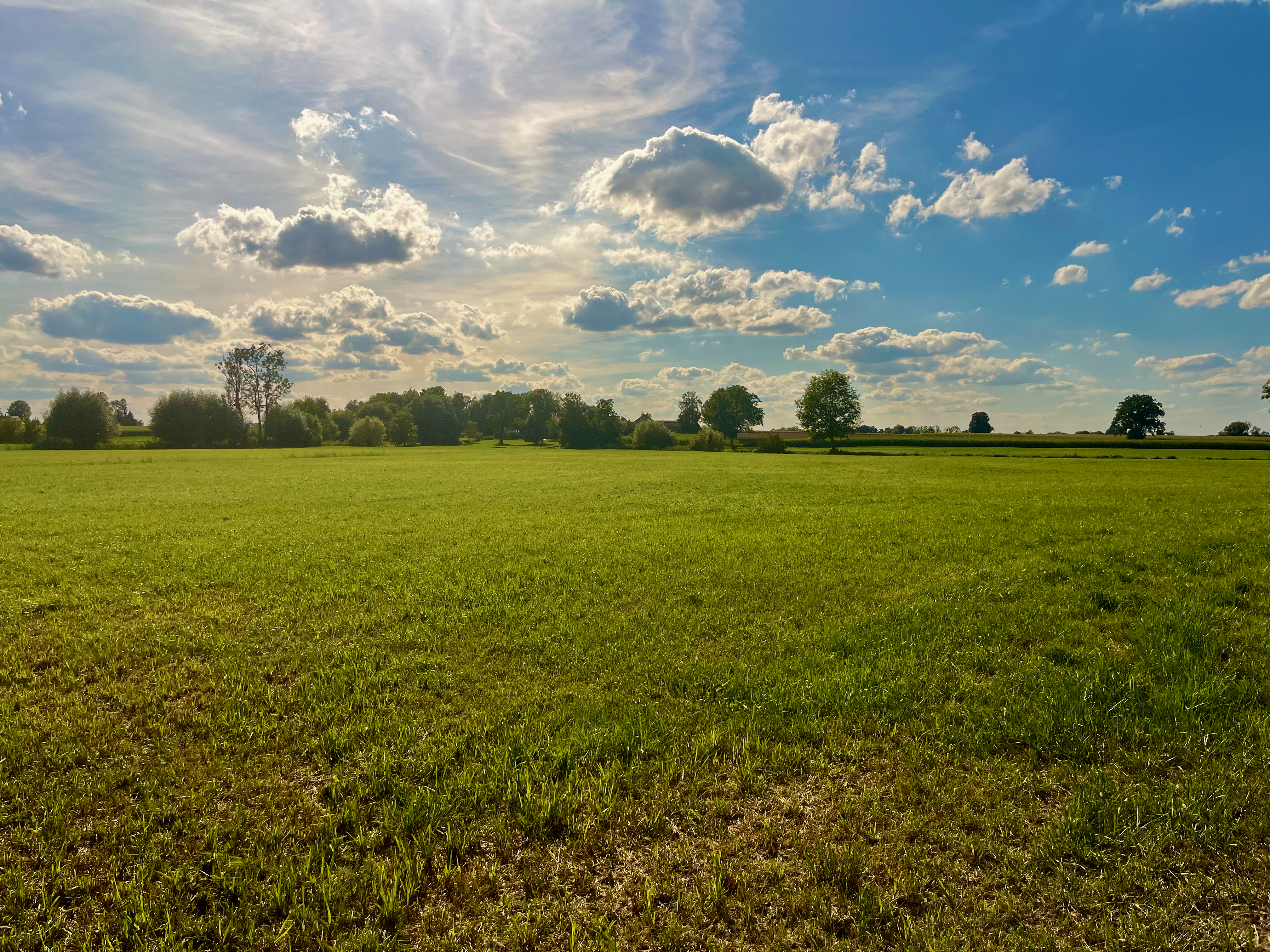 Hof in Erding